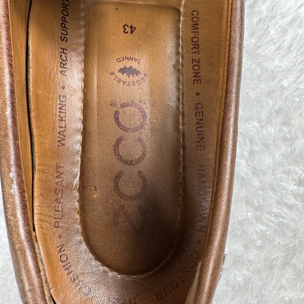 Ecco these brown